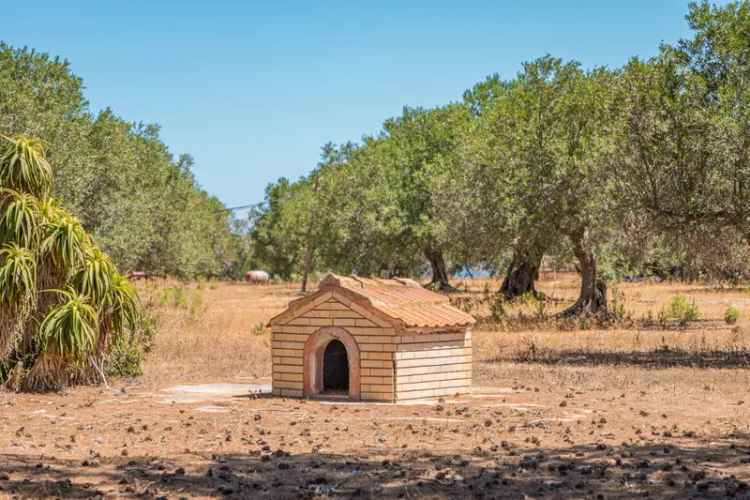 Villa unifamiliare via Torre Sances 370, Stagnone, Marsala