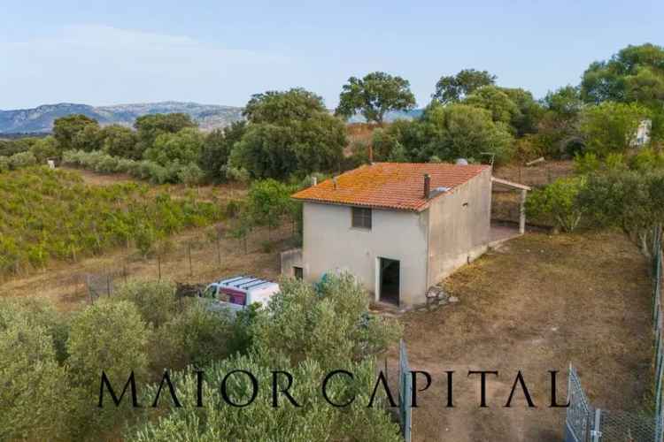 Casale con Vigneto a Berchidda - Sardegna