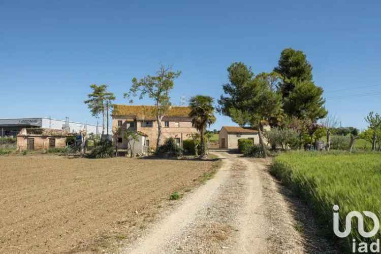 Villa unifamiliare via delle Querce, Centro, Osimo