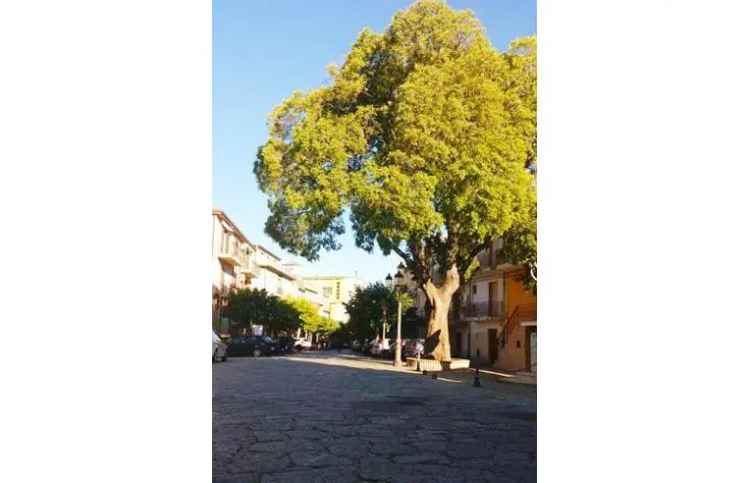 Casa indipendente in vendita a Sant'Andrea Apostolo dello Ionio