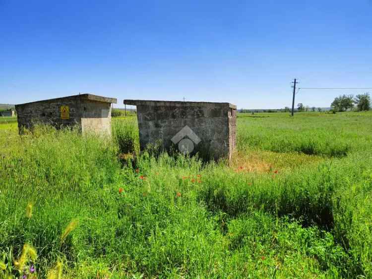 Ter. agricolo in vendita