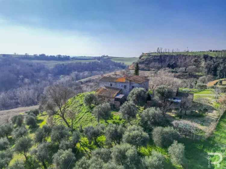 Casa colonica via Lauretana Antica, Centro, Asciano