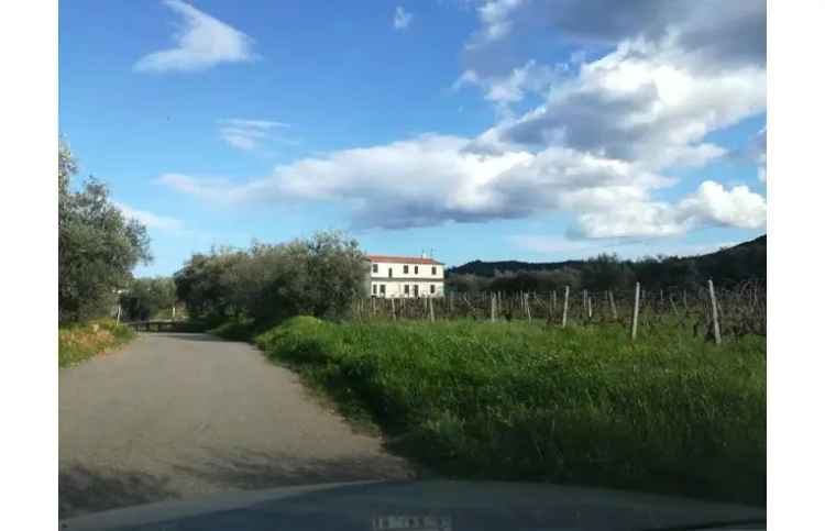 Affitto Casa Vacanze a Cardedu