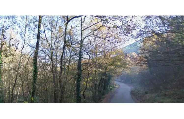 Terreno Agricolo/Coltura in vendita a Esperia