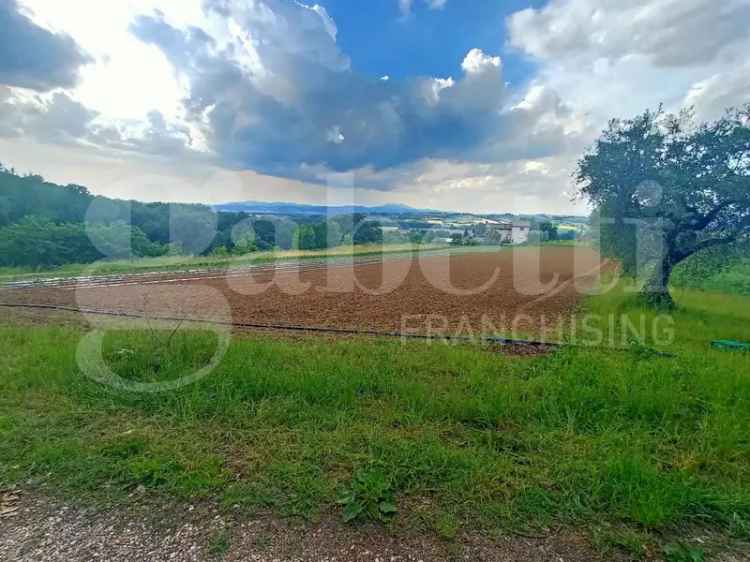 Terreno non edificabile in Via Montelino, 1, Torgiano (PG)