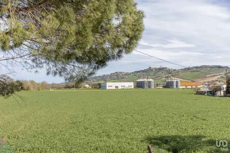 Vendita terreno di 100.000 m² in Montelupone (62010) - 118282 - iad