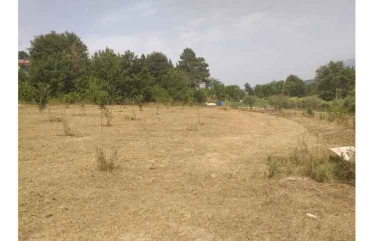 Terreno Agricolo/Coltura in vendita a Montefredane