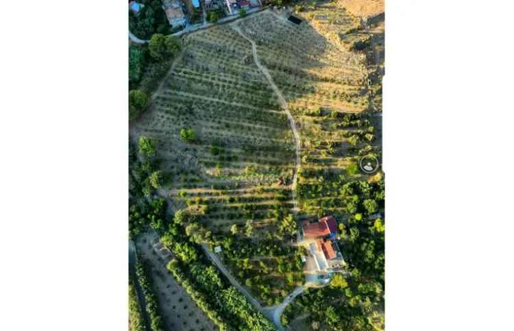 Terreno Agricolo/Coltura in vendita a Condofuri