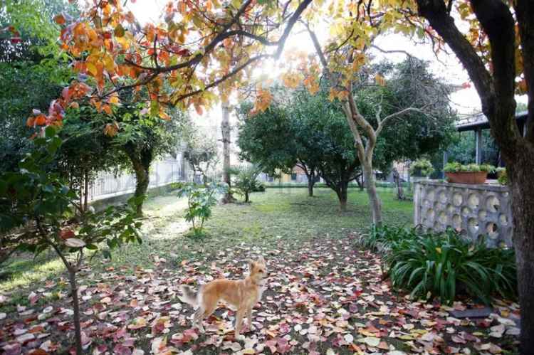 Villetta bifamiliare in Via filattiera, Carrara, 8 locali, 260 m²