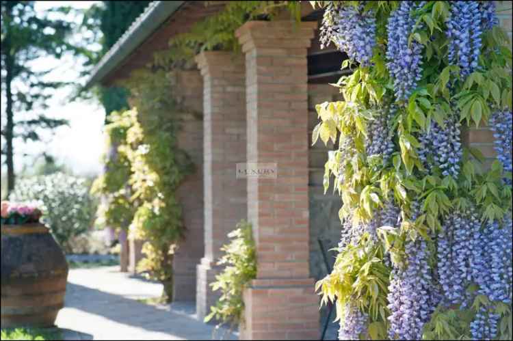 Villa unifamiliare via di Greta, Centro, Peccioli