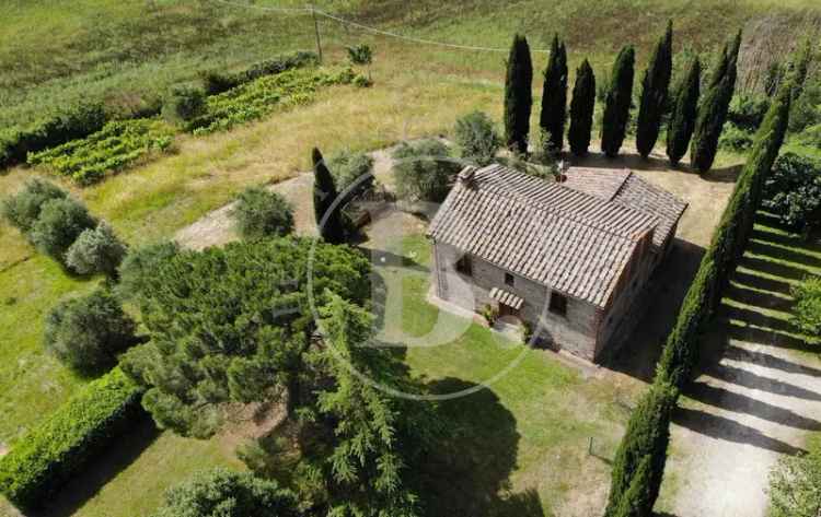 Casale Sestano, Castelnuovo Berardenga