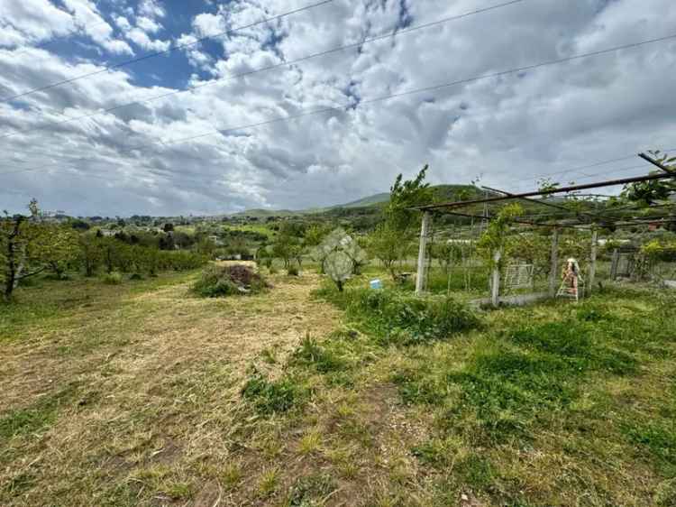 Ter. agricolo in vendita