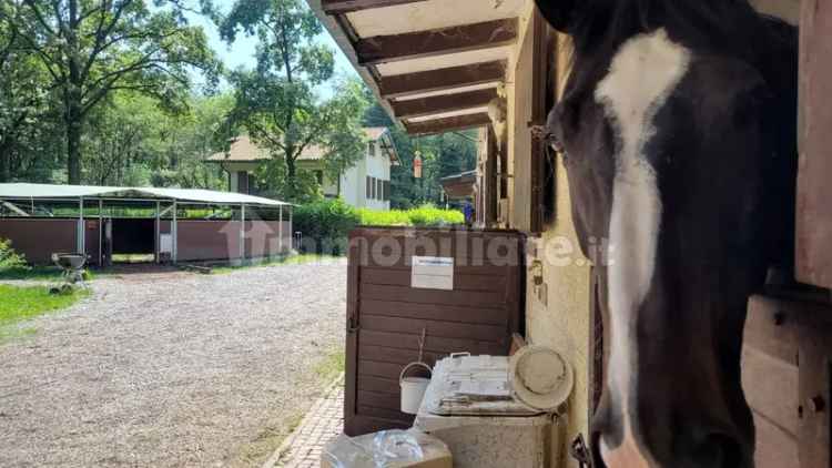 Cascina via Isonzo, Casorate Sempione