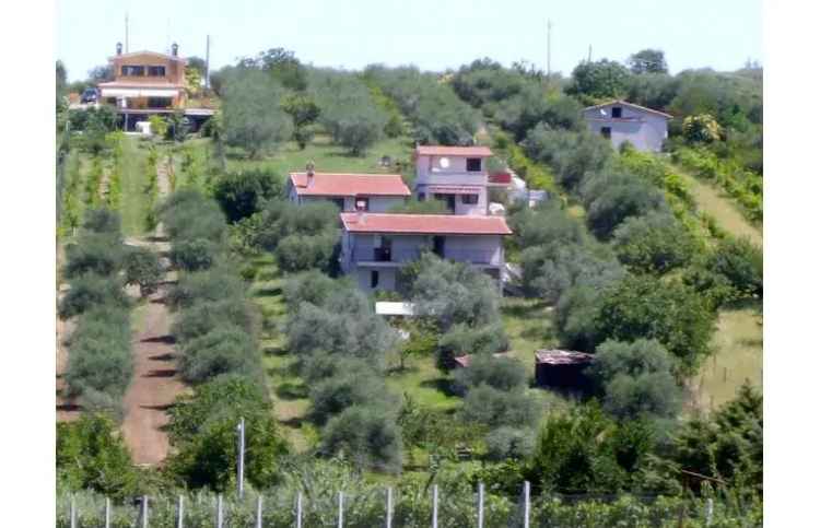 Casa indipendente in vendita a Fonte Nuova