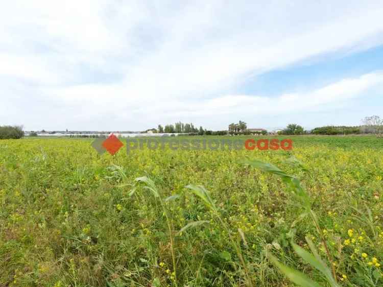 Terreno non edificabile in vendita  a Capaccio Paestum