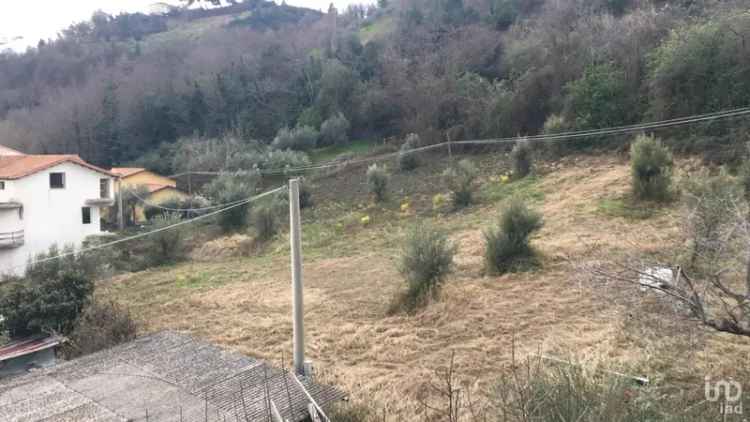 Vendita terreno di 4.000 m² in Torricella Sicura (64010) - 72170 - iad