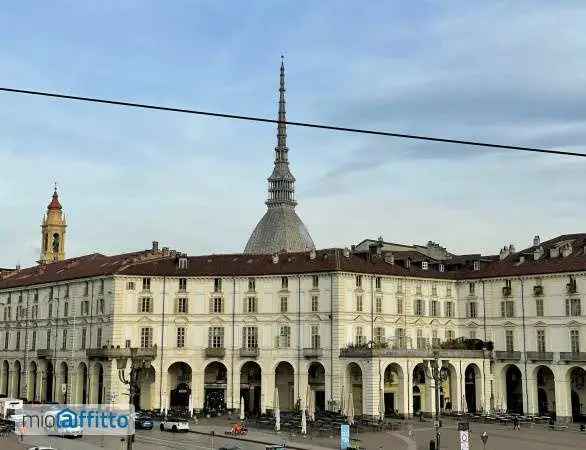 Appartamento In Affitto in Torino, Piemonte