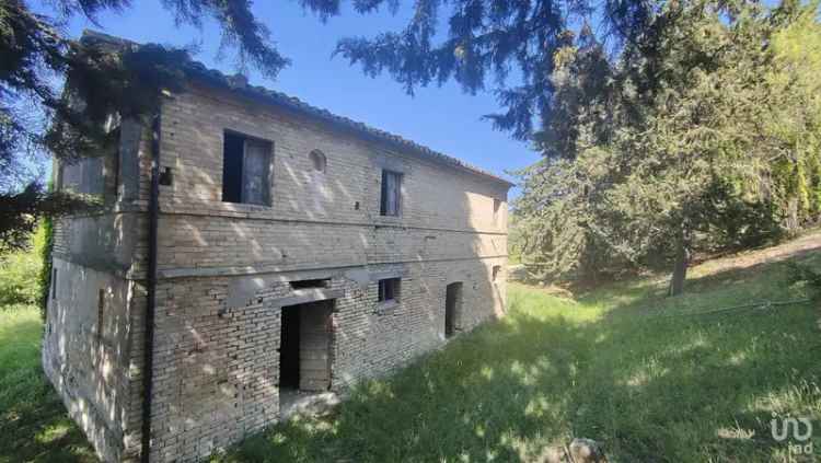 Vendita rustico 0 locali di 300 m² in Offida (63073) - 120040 - iad