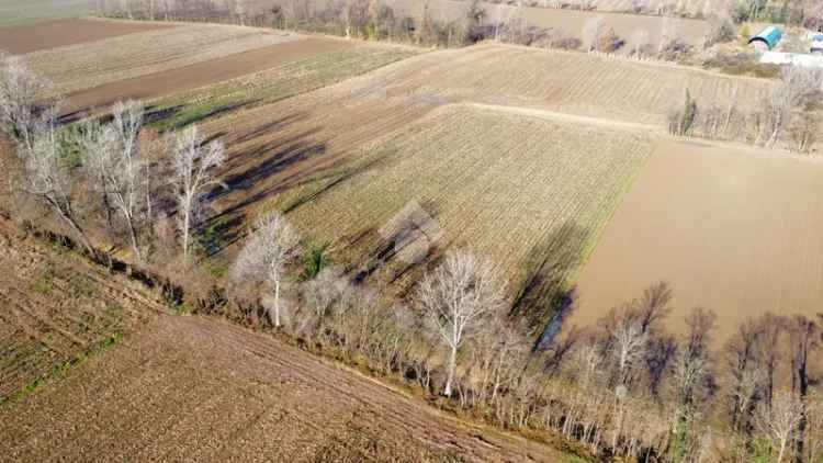 Ter. agricolo in vendita