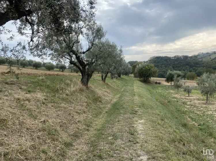 Vendita rustico 4 locali di 165 m² in Controguerra (64010) - 82208 - iad