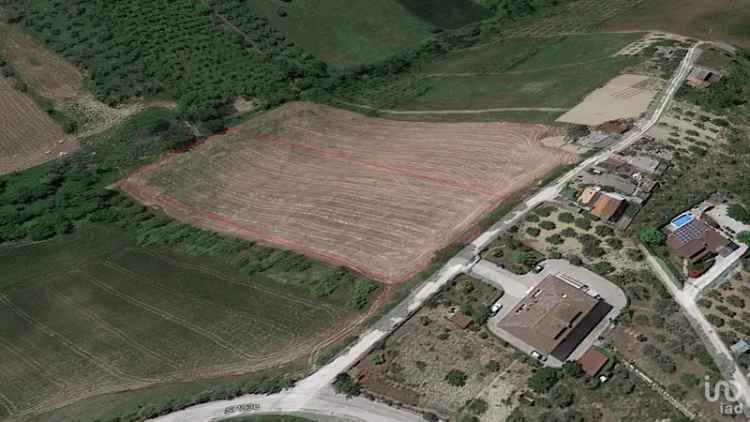 Vendita terreno agricolo di 9.580 m² in Atri (64032) - 70716 - iad