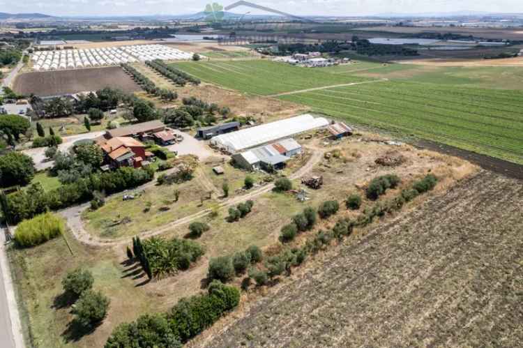 Villa unifamiliare Strada del Tirreno, Montalto di Castro