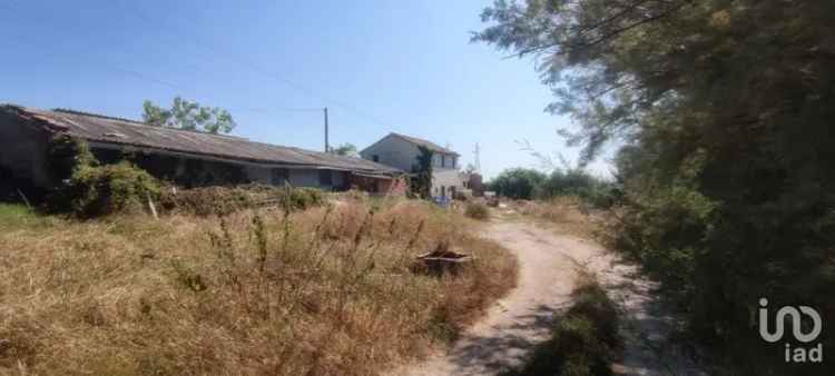 Vendita varie superfici 0 locali di 320 m² in Treia (62010) - 128447 - iad