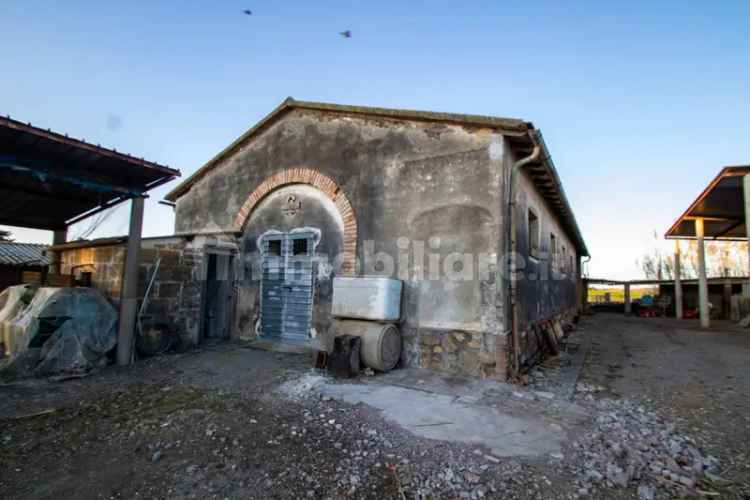 Rustico Strada delle Basse, Capalbio