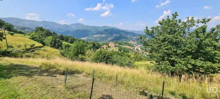 Vendita terreno di 4.000 m² in Ceranesi (16014) - 100171 - iad