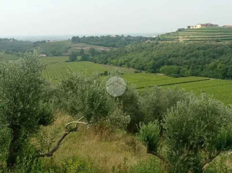 Ter. agricolo in vendita