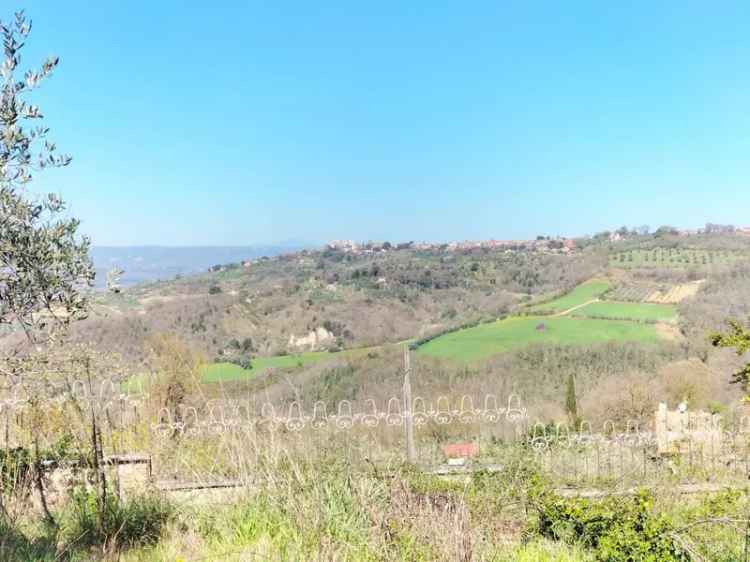 Villa unifamiliare via Ortana 13, Penna in Teverina