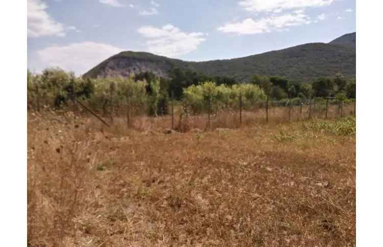 Terreno Agricolo/Coltura in vendita a San Felice Circeo