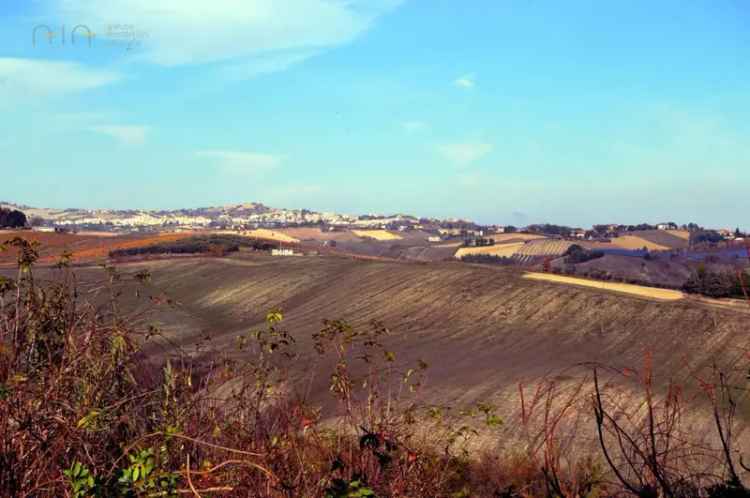 Rustico via Tose snc, Castel di Lama