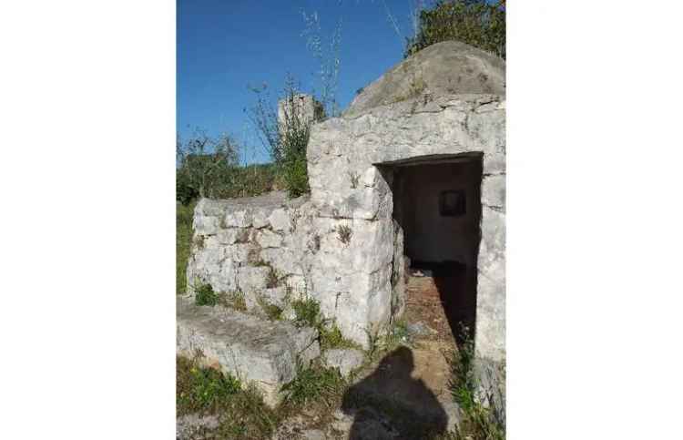 Terreno Agricolo/Coltura in vendita a San Vito dei Normanni