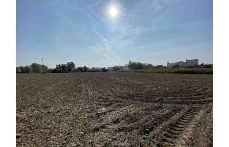 Terreno Agricolo/Coltura in vendita a Argenta, Via Correggiolo Colombarina 8