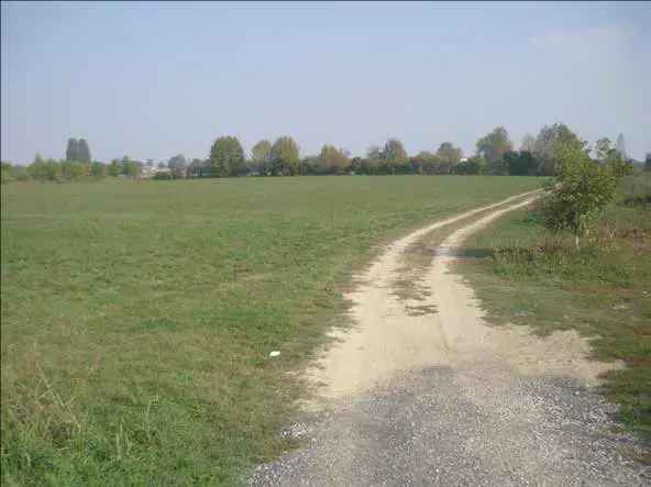 TERRENO EDIFICABILE E AGRICOLO