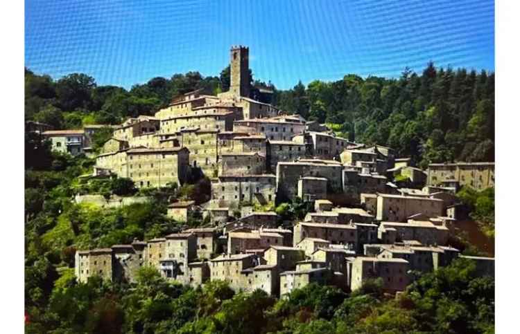 Casa indipendente in vendita a Castelnuovo di Val di Cecina