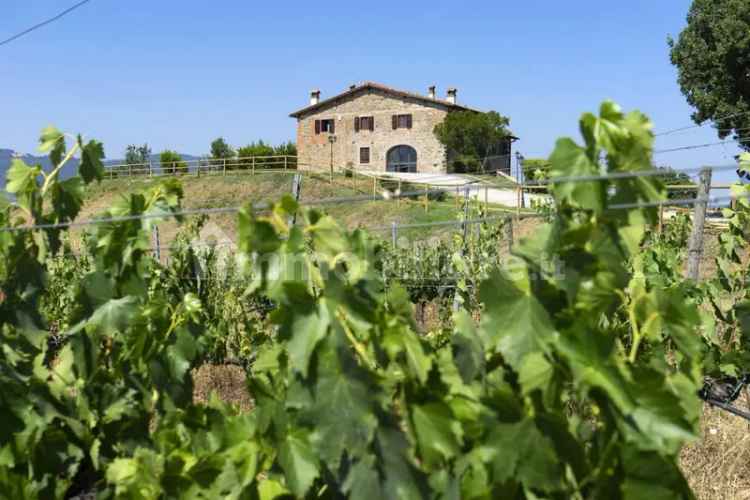 Villa unifamiliare via Borro della Quercia, San Giovanni Valdarno