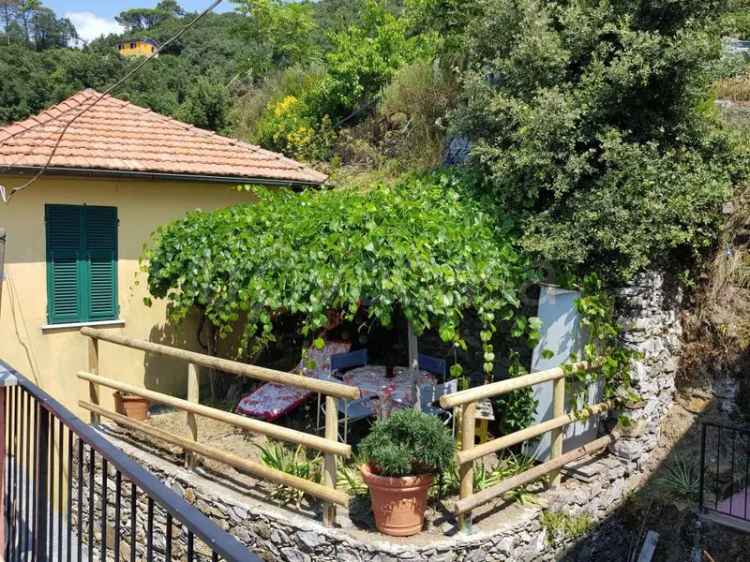 Appartamento in in affitto da privato a Vernazza località Drignana