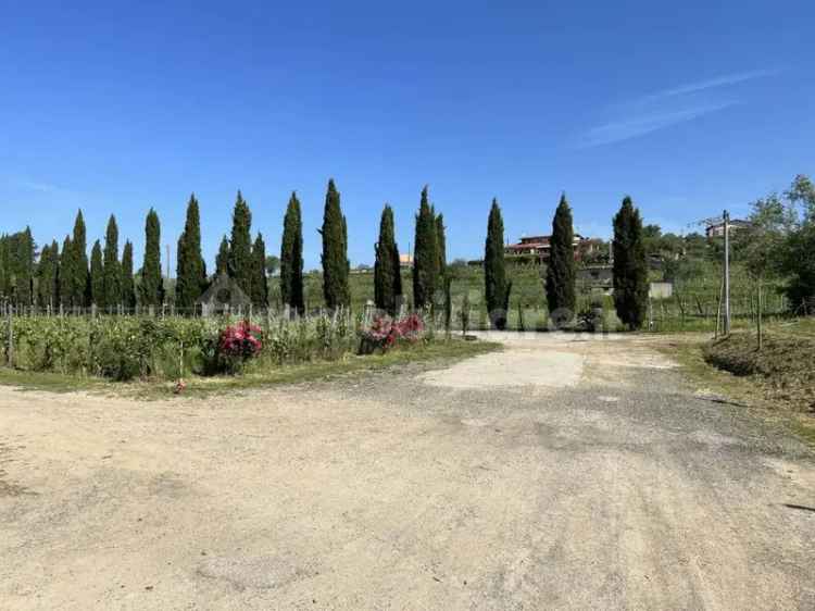 Casale via Olmarello, Colombiera Molicciara, Castelnuovo Magra