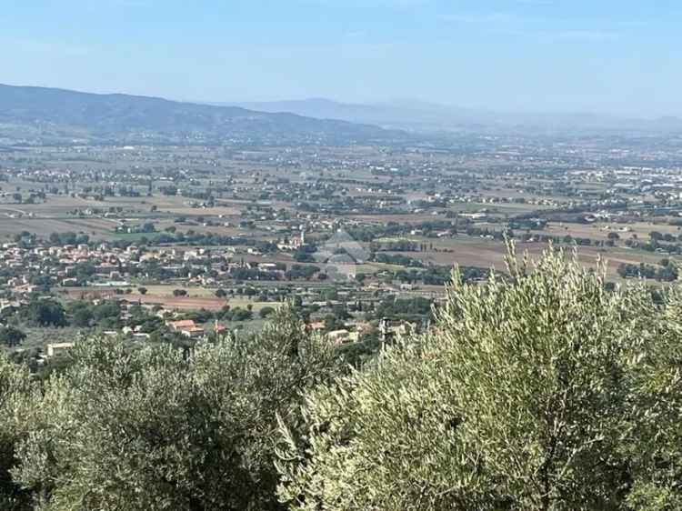 Ter. agricolo in vendita