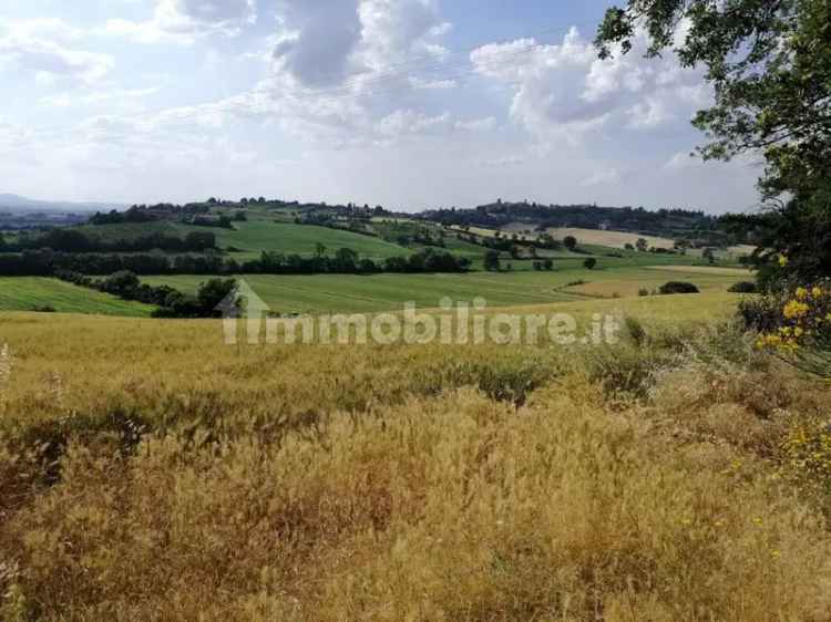 Casale via Fornace, Montepulciano