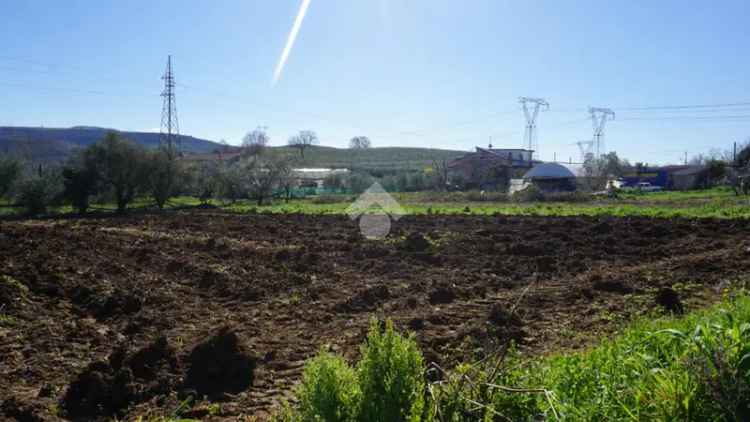 Ter. agricolo in vendita