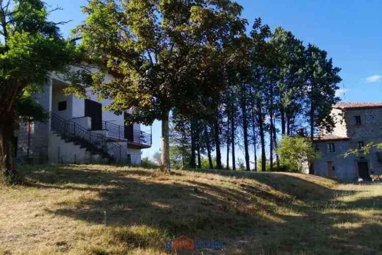 Rustico lugnano, Città di Castello