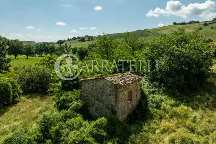 Casale Strada dei Colli, Torrita di Siena