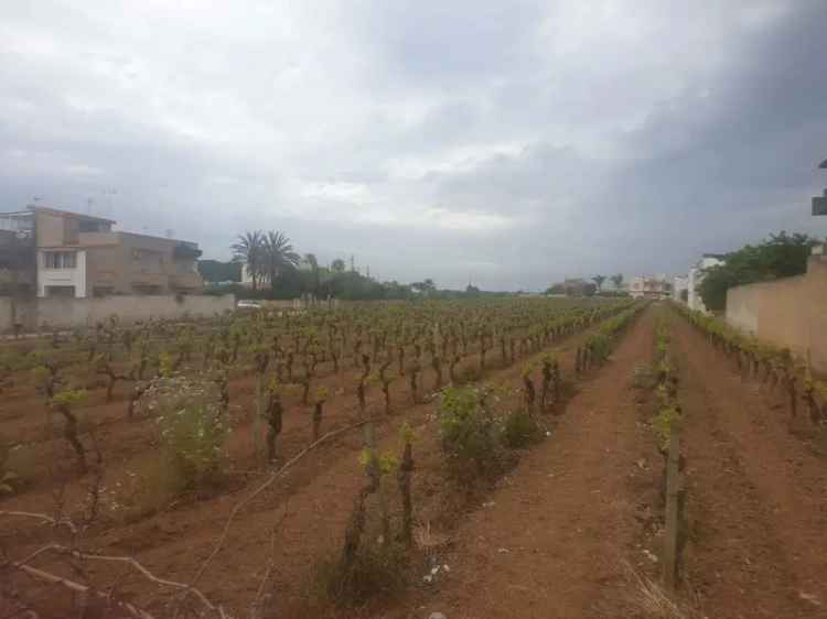 Terreno edificabile in Via Bessarione, 147, Mazara del Vallo (TP)