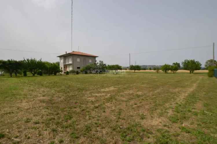 Casale via Adda, Cuccurano - Carrara, Fano