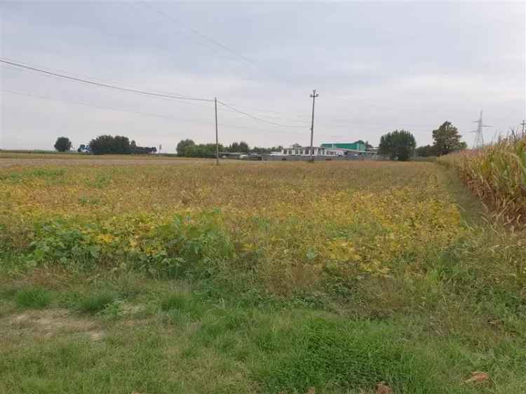 PIAZZA VECCHIA Terreno agricolo di 6.200mq M704