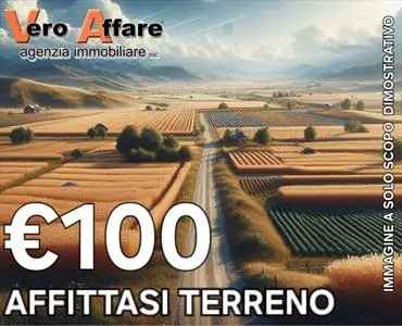 Terreno Agricolo in Affitto Favara 2500 mq