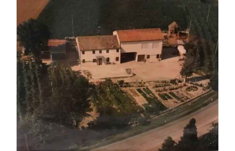 Casa indipendente in vendita a Piove di Sacco